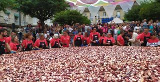 Festa do Pulpo