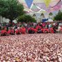 Festa do Pulpo
