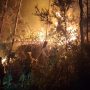 Incendio en Ourense por BrifLaza