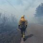 Bomberos en un incendio por BrifLaza