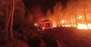 Incendios en Ourense