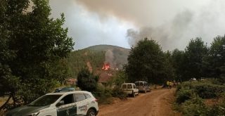 Incendio en la provincia de Ourense