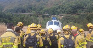 Bomberos en un incendio forestal