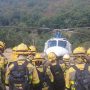 Bomberos en un incendio forestal