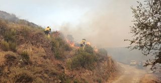 Incendio forestal
