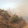 Incendio forestal