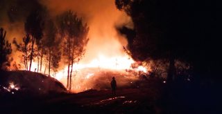 Incendio forestal