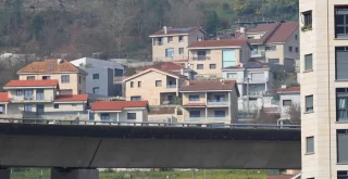 As Lamas en Barbadás