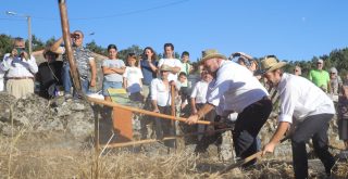 Festa da malla de Puxedo