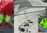 Servicio de limpieza